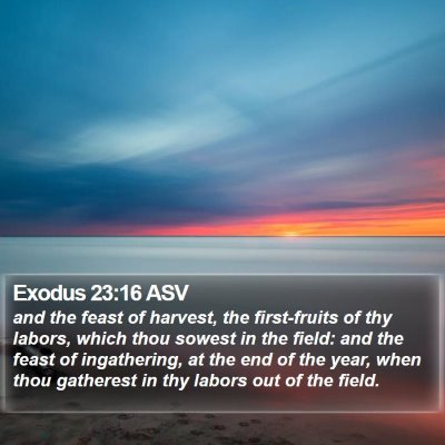 Exodus 23:16 ASV Bible Verse Image