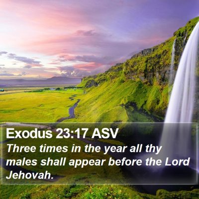 Exodus 23:17 ASV Bible Verse Image