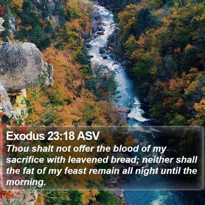 Exodus 23:18 ASV Bible Verse Image