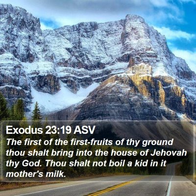 Exodus 23:19 ASV Bible Verse Image