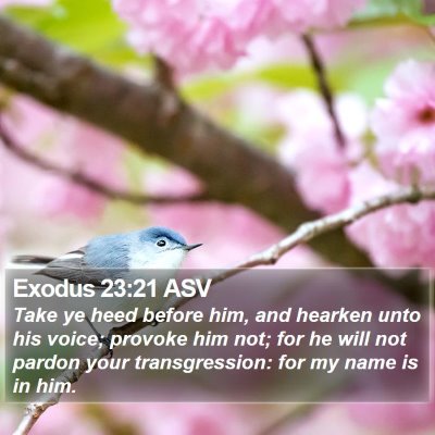 Exodus 23:21 ASV Bible Verse Image