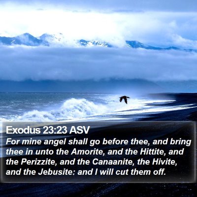 Exodus 23:23 ASV Bible Verse Image
