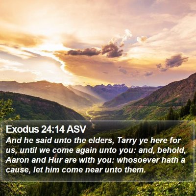 Exodus 24:14 ASV Bible Verse Image