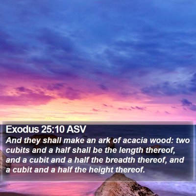 Exodus 25:10 ASV Bible Verse Image