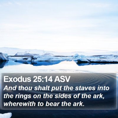 Exodus 25:14 ASV Bible Verse Image