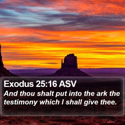 Exodus 25:16 ASV Bible Verse Image