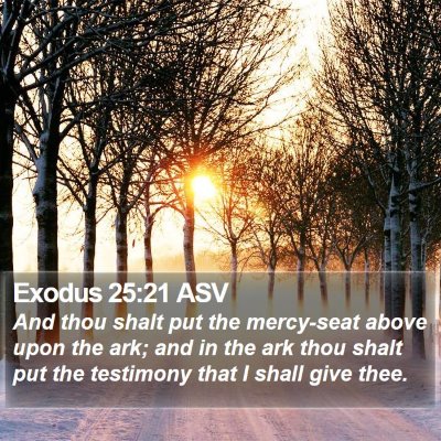 Exodus 25:21 ASV Bible Verse Image