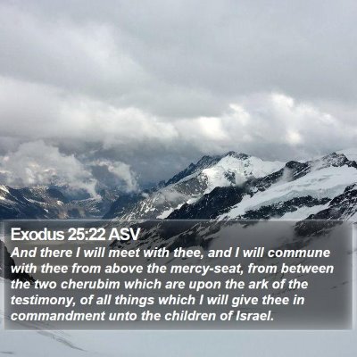 Exodus 25:22 ASV Bible Verse Image