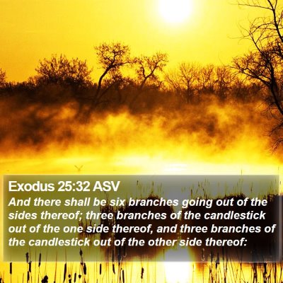 Exodus 25:32 ASV Bible Verse Image