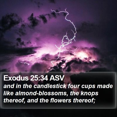 Exodus 25:34 ASV Bible Verse Image