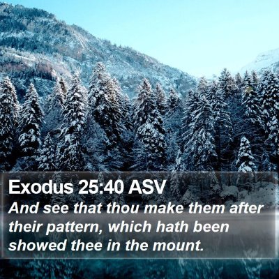 Exodus 25:40 ASV Bible Verse Image