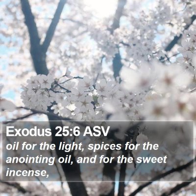 Exodus 25:6 ASV Bible Verse Image
