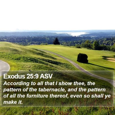 Exodus 25:9 ASV Bible Verse Image