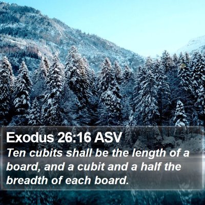 Exodus 26:16 ASV Bible Verse Image