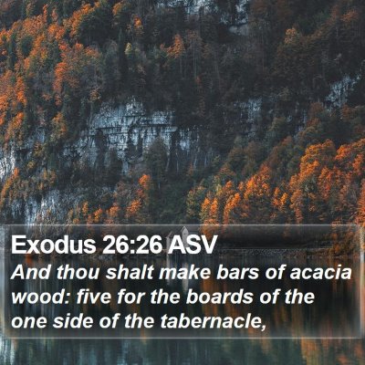 Exodus 26:26 ASV Bible Verse Image