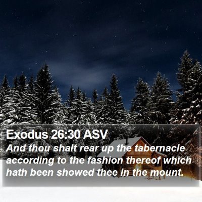 Exodus 26:30 ASV Bible Verse Image