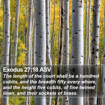 Exodus 27:18 ASV Bible Verse Image