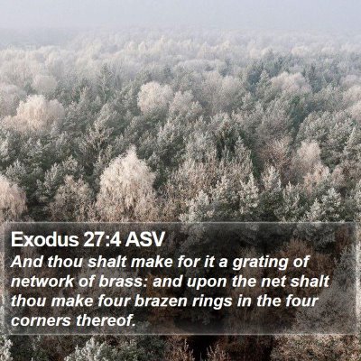 Exodus 27:4 ASV Bible Verse Image
