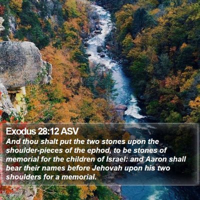 Exodus 28:12 ASV Bible Verse Image