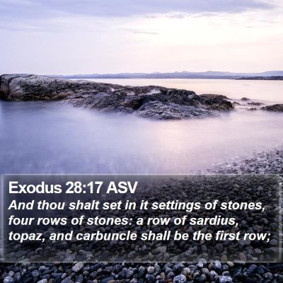 Exodus 28:17 ASV Bible Verse Image