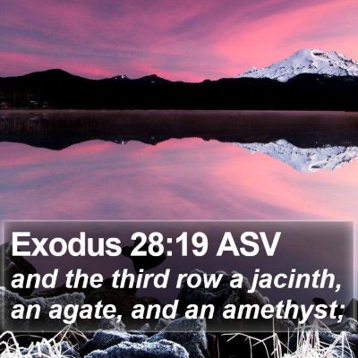 Exodus 28:19 ASV Bible Verse Image