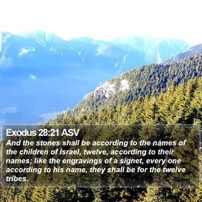 Exodus 28:21 ASV Bible Verse Image