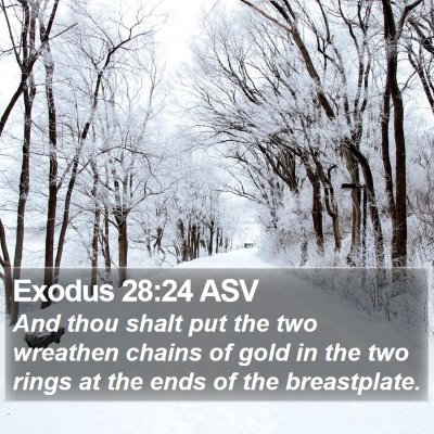 Exodus 28:24 ASV Bible Verse Image