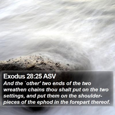 Exodus 28:25 ASV Bible Verse Image