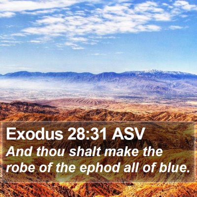 Exodus 28:31 ASV Bible Verse Image