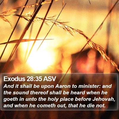 Exodus 28:35 ASV Bible Verse Image