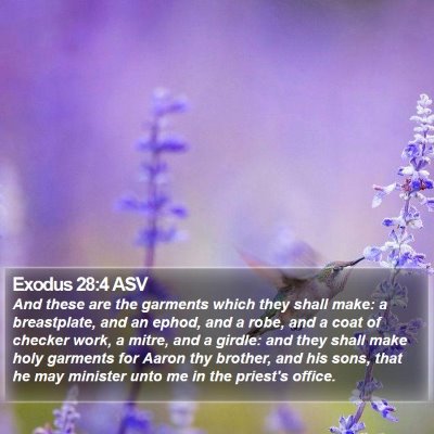 Exodus 28:4 ASV Bible Verse Image