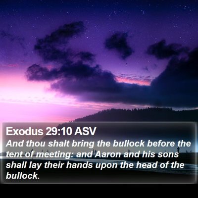 Exodus 29:10 ASV Bible Verse Image