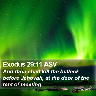 Exodus 29:11 ASV Bible Verse Image