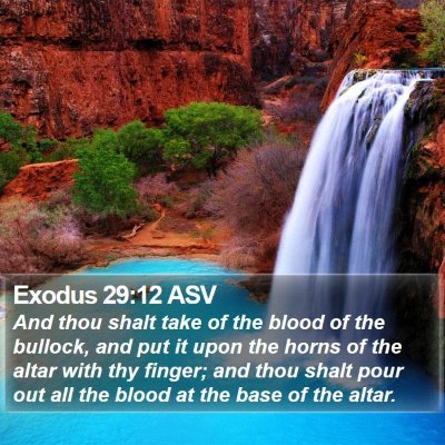 Exodus 29:12 ASV Bible Verse Image