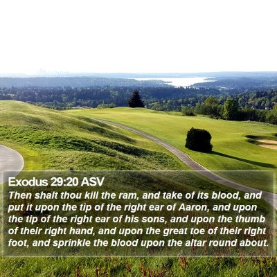 Exodus 29:20 ASV Bible Verse Image