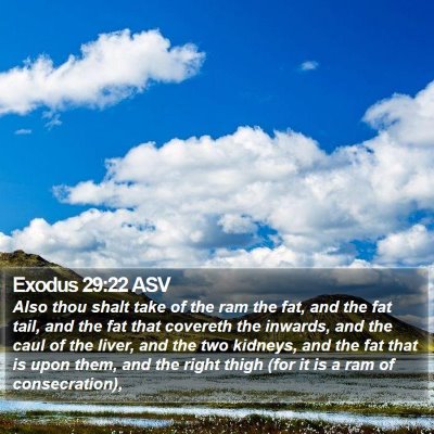 Exodus 29:22 ASV Bible Verse Image