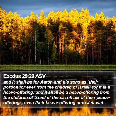 Exodus 29:28 ASV Bible Verse Image