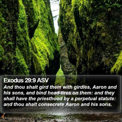 Exodus 29:9 ASV Bible Verse Image