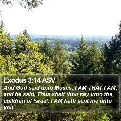 Exodus 3:14 ASV Bible Verse Image