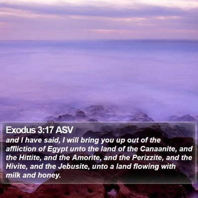 Exodus 3:17 ASV Bible Verse Image