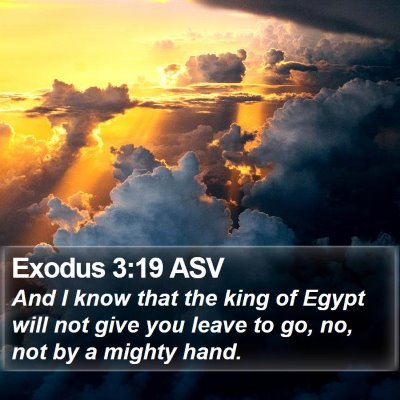 Exodus 3:19 ASV Bible Verse Image