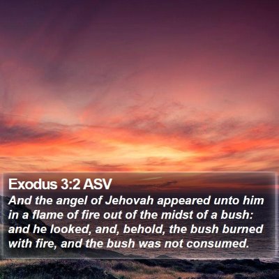Exodus 3:2 ASV Bible Verse Image