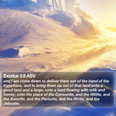 Exodus 3:8 ASV Bible Verse Image