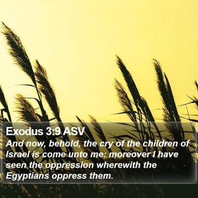 Exodus 3:9 ASV Bible Verse Image