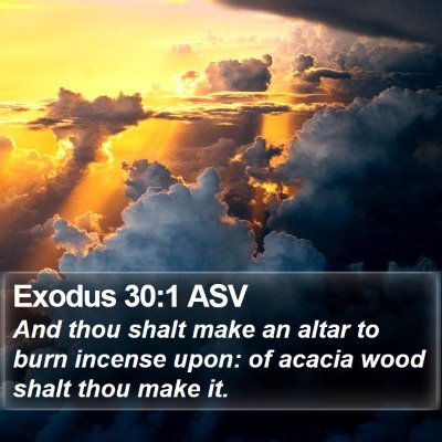 Exodus 30:1 ASV Bible Verse Image