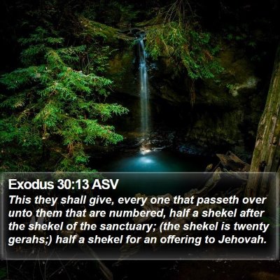 Exodus 30:13 ASV Bible Verse Image