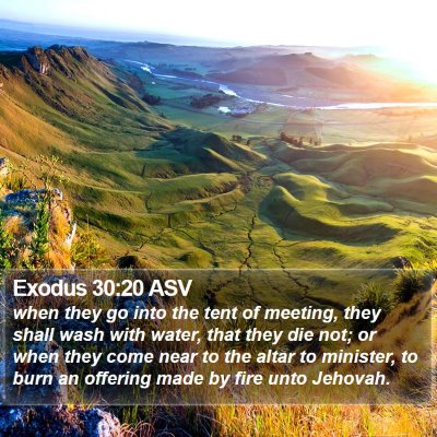 Exodus 30:20 ASV Bible Verse Image