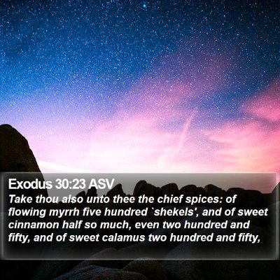 Exodus 30:23 ASV Bible Verse Image