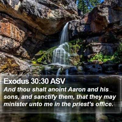 Exodus 30:30 ASV Bible Verse Image