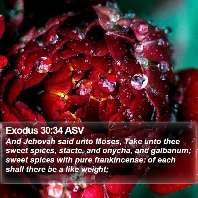 Exodus 30:34 ASV Bible Verse Image